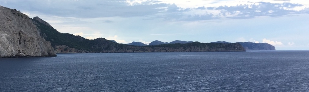 User banner image