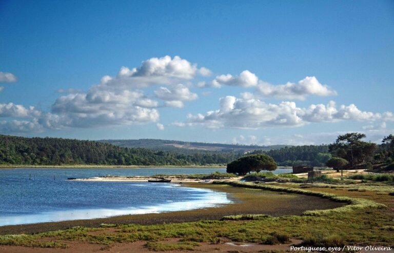 Wingfoil Lagoon of Obidos 768x493