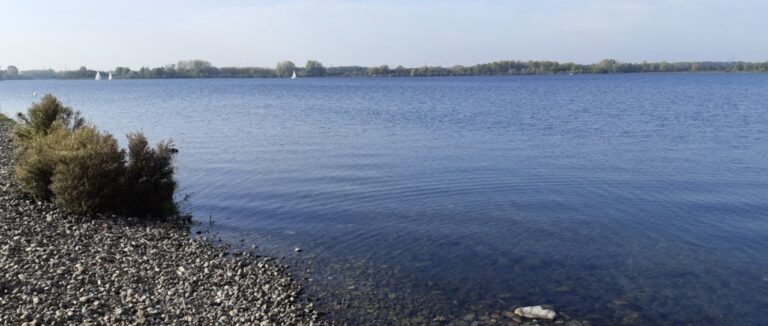 Wingfoil oolderplas Large 768x326