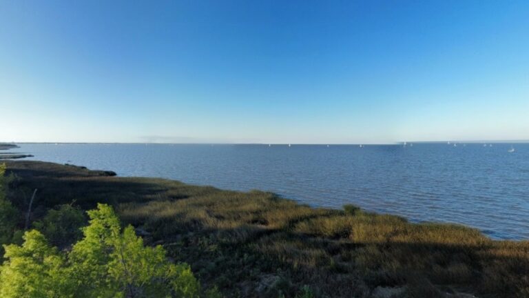 Wing foil Buenos Aires 768x432