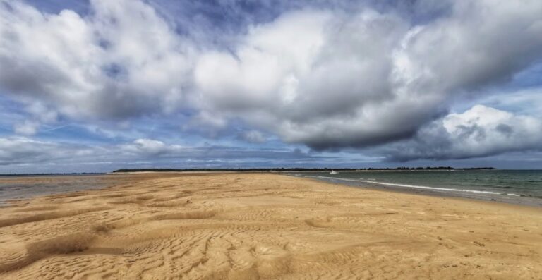 wing foil ile de re 1 768x397