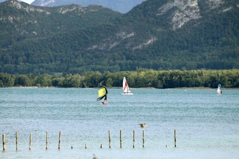 wingfoil at lac dannecy 768x512