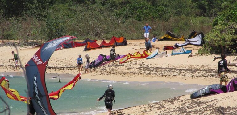 wingfoil kanaha beach 768x374