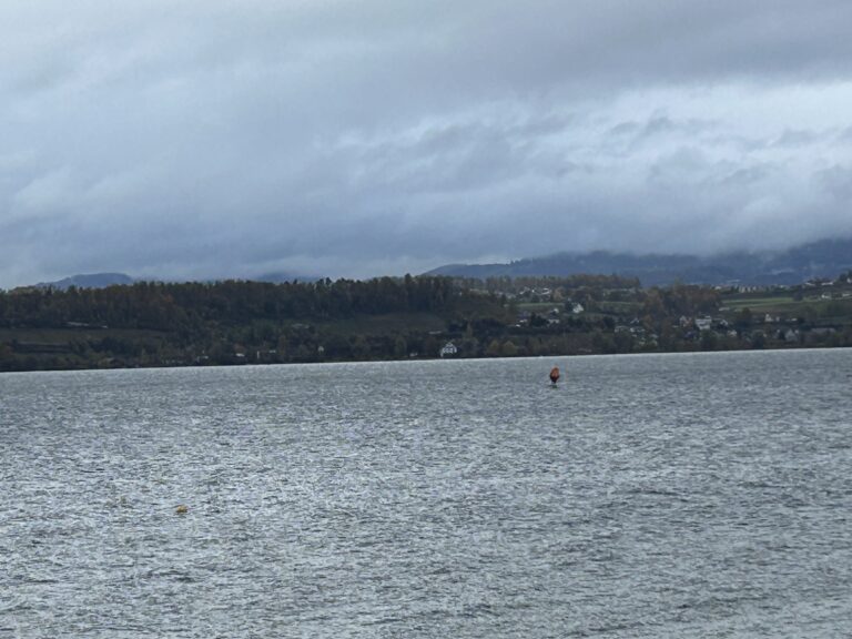 IMG 1800 768x576