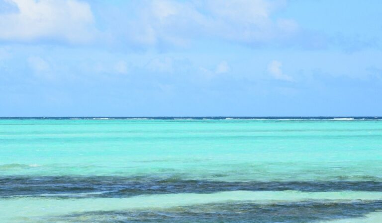 Lac Baai wingfoil 768x450