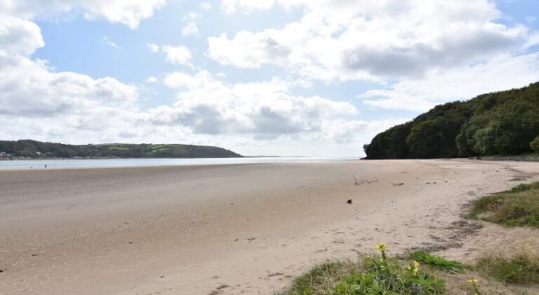 wingfoil Towy estuary 768x420